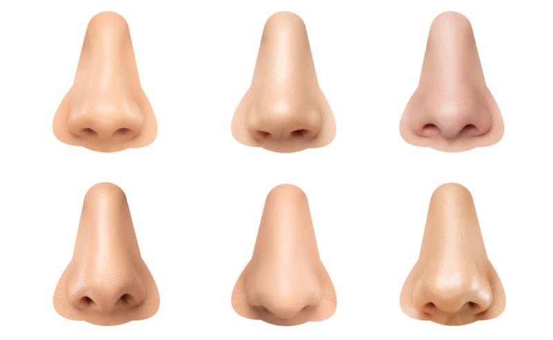 various-human-noses