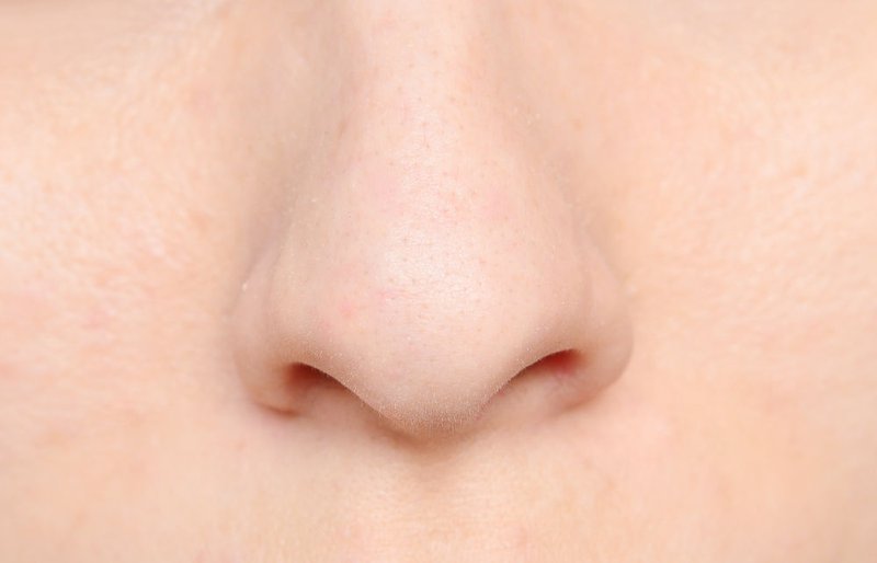 human-nose